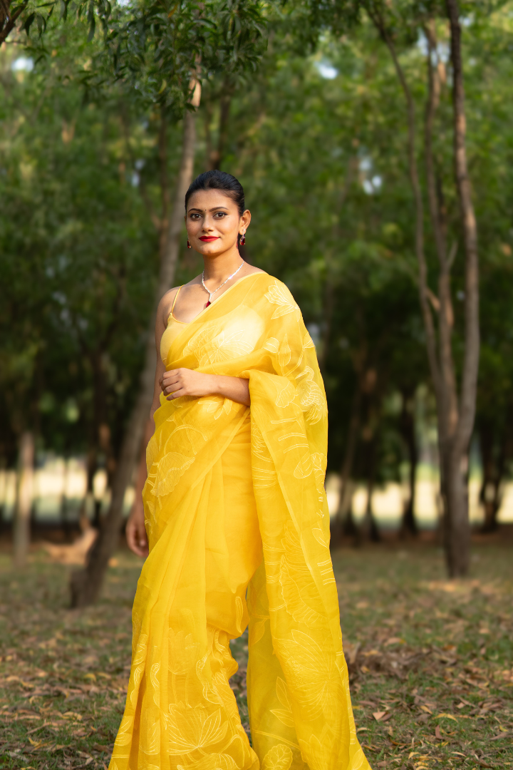 Banarasi Organza Applique saree with Chandari thread - Yellow