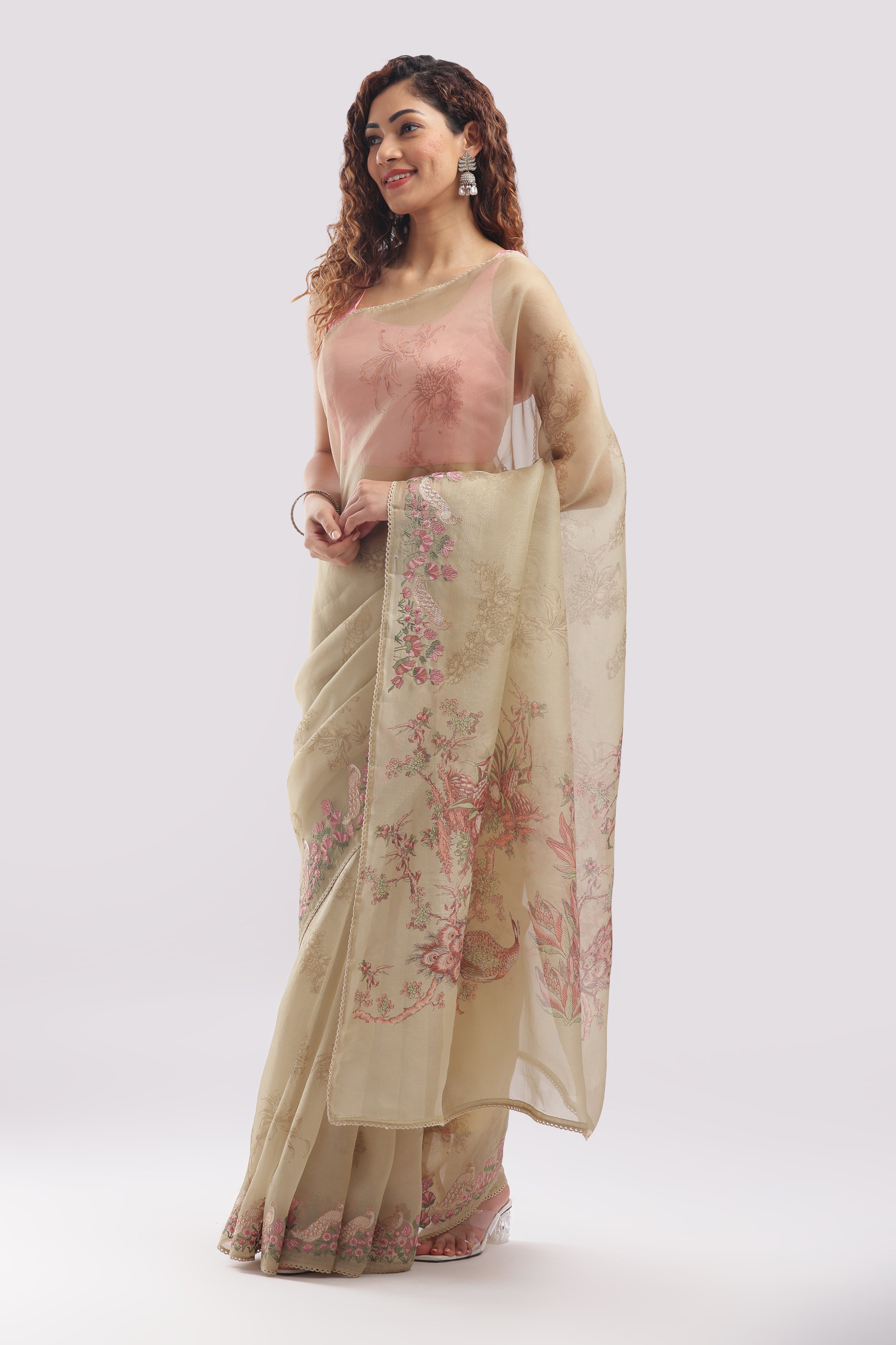 Banarasi Silk Organza Digital Print And Embroidery Saree - Pastel Gold Shade