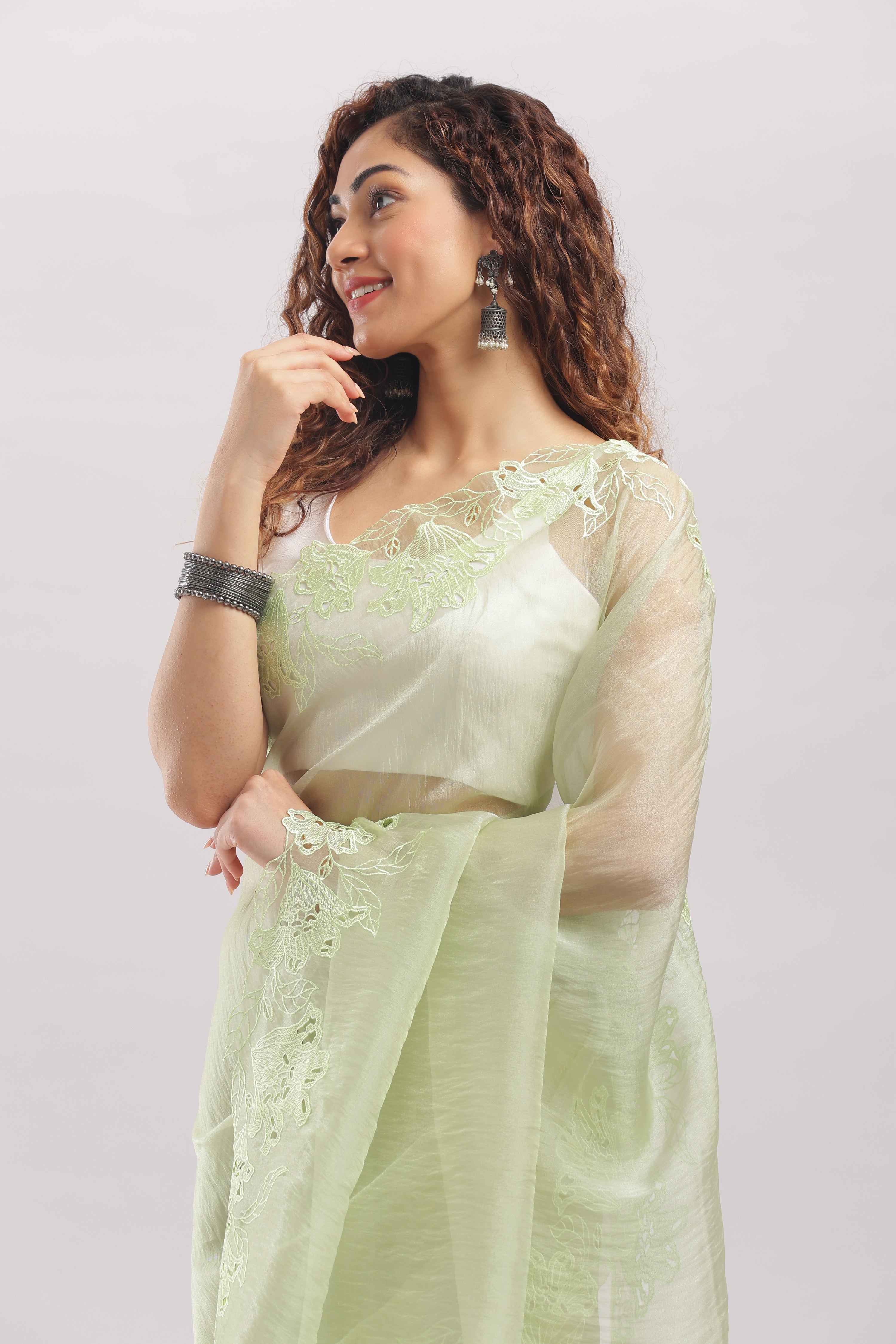 Banarasi Tissue Silk Cut Work Saree - Soft Pastel Green