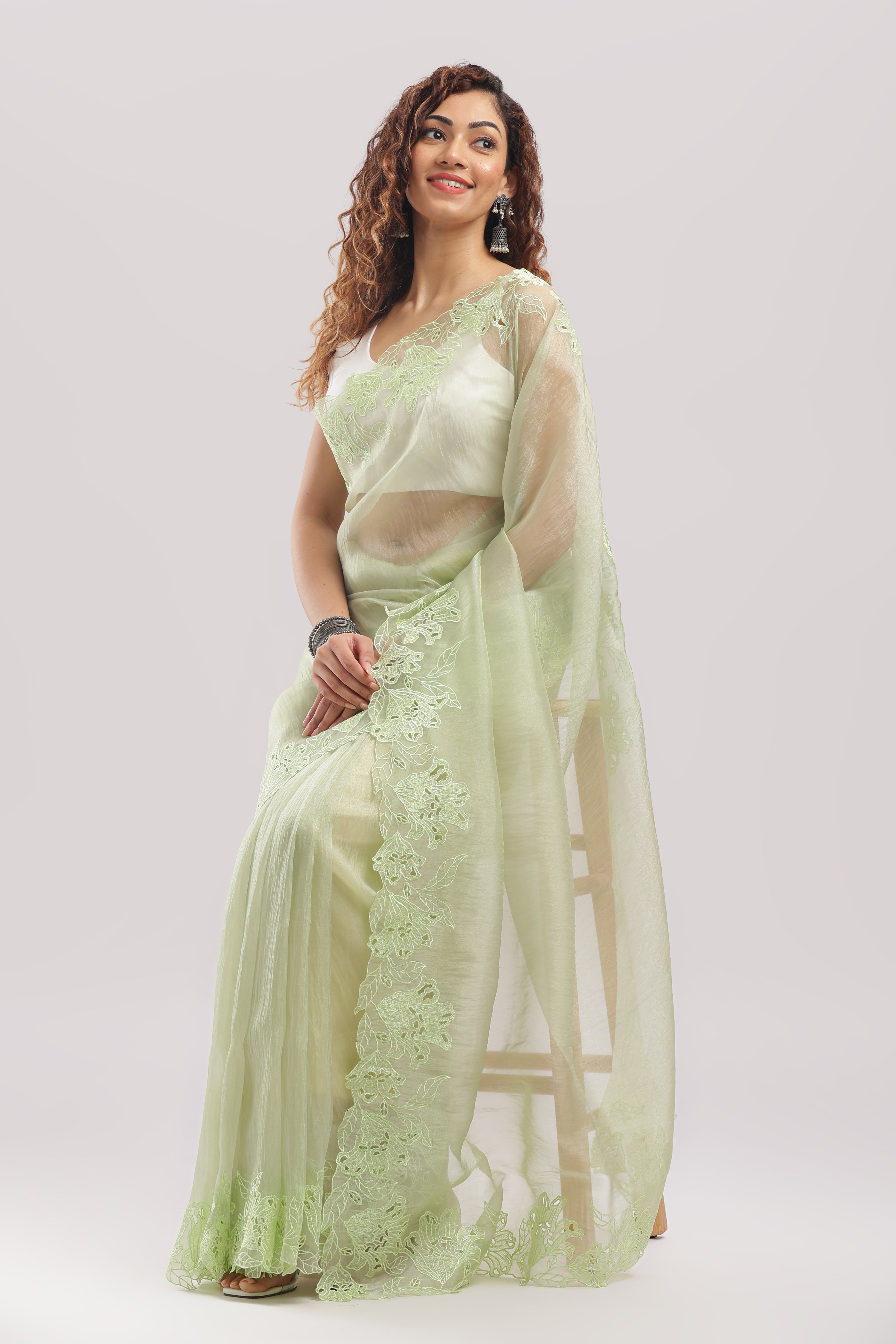 Banarasi Tissue Silk Cut Work Saree - Soft Pastel Green