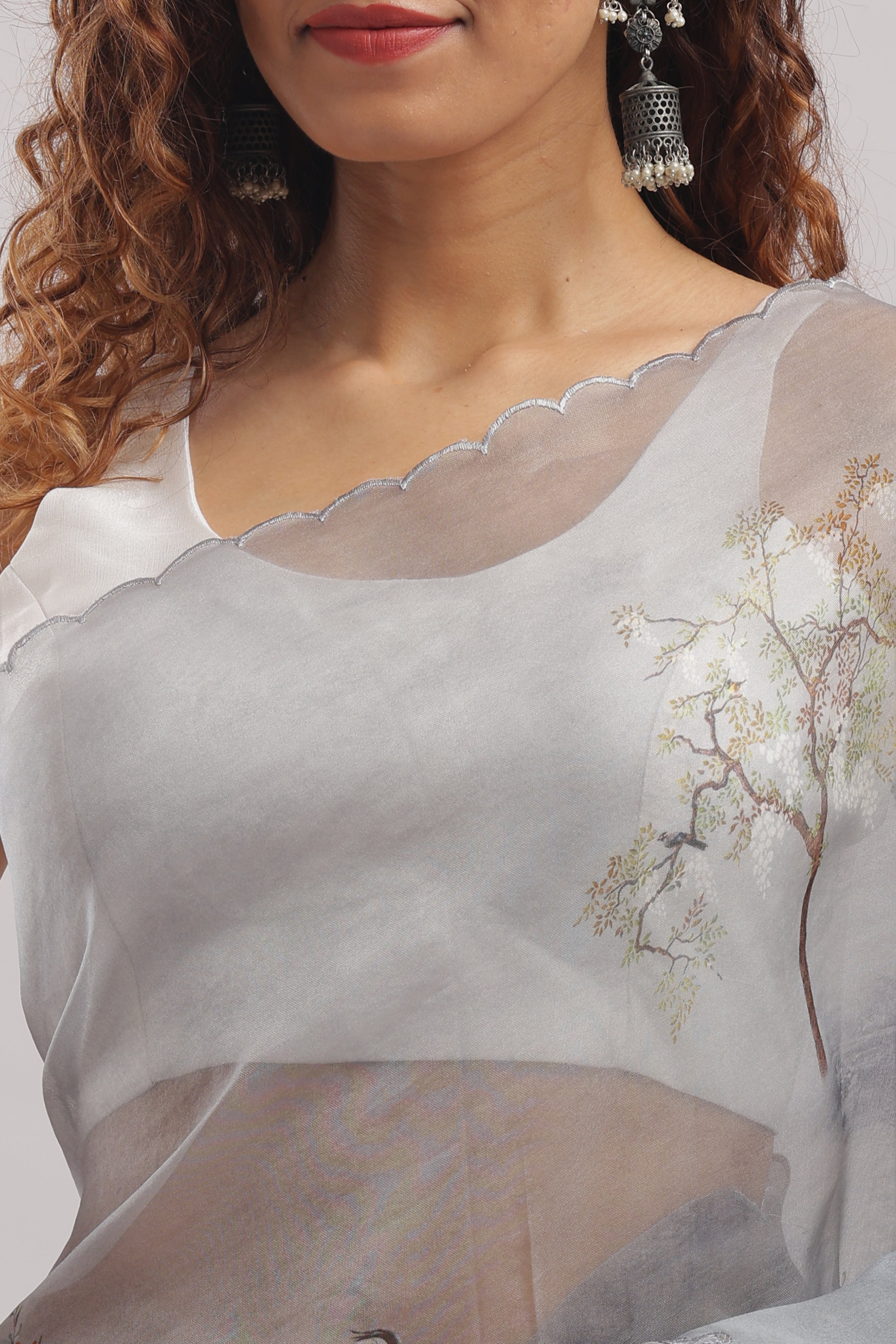 Banarasi Silk Organza Digital Print And Embroidery Saree - Grey