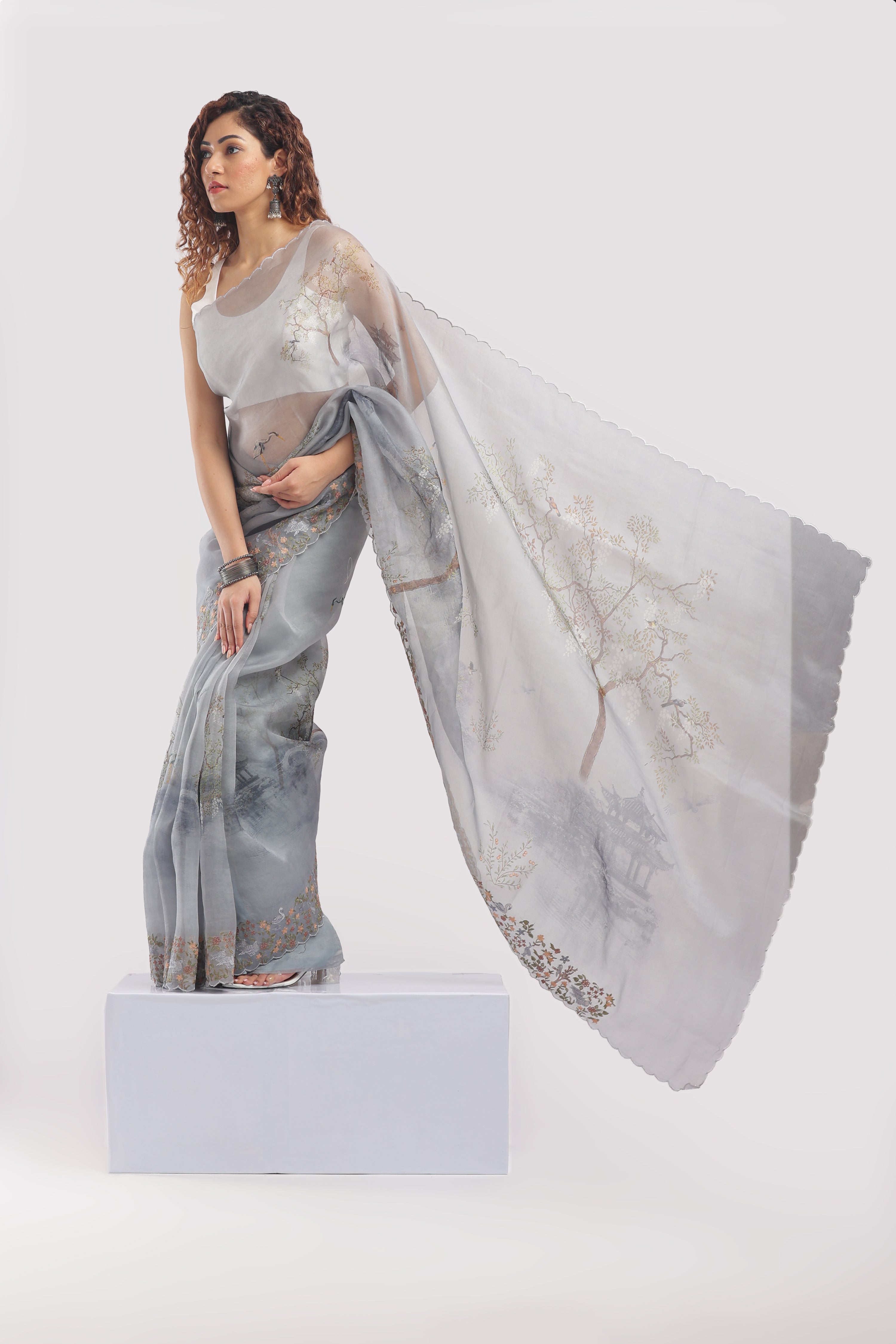 Banarasi Silk Organza Digital Print And Embroidery Saree - Grey