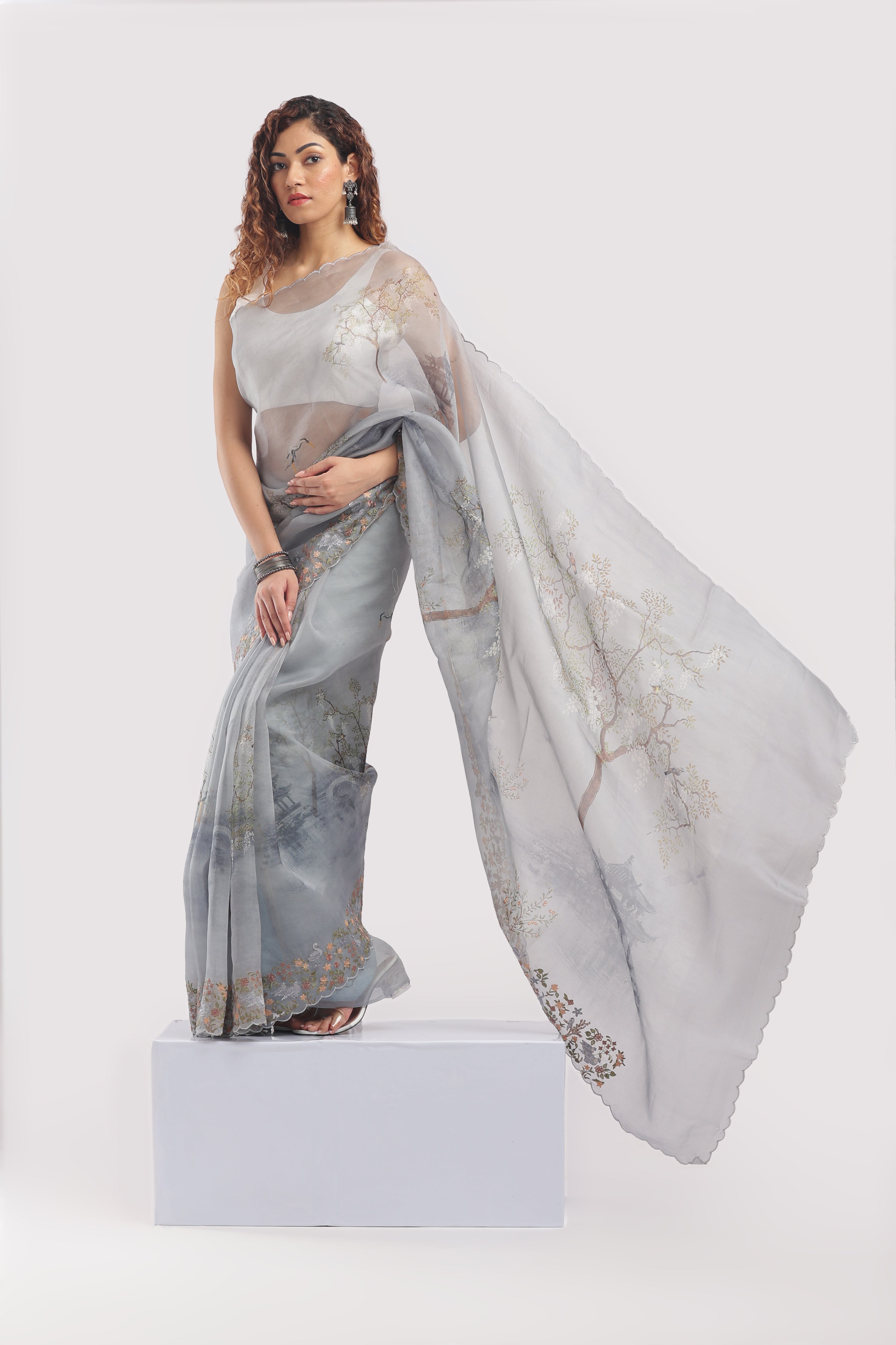 Banarasi Silk Organza Digital Print And Embroidery Saree - Grey