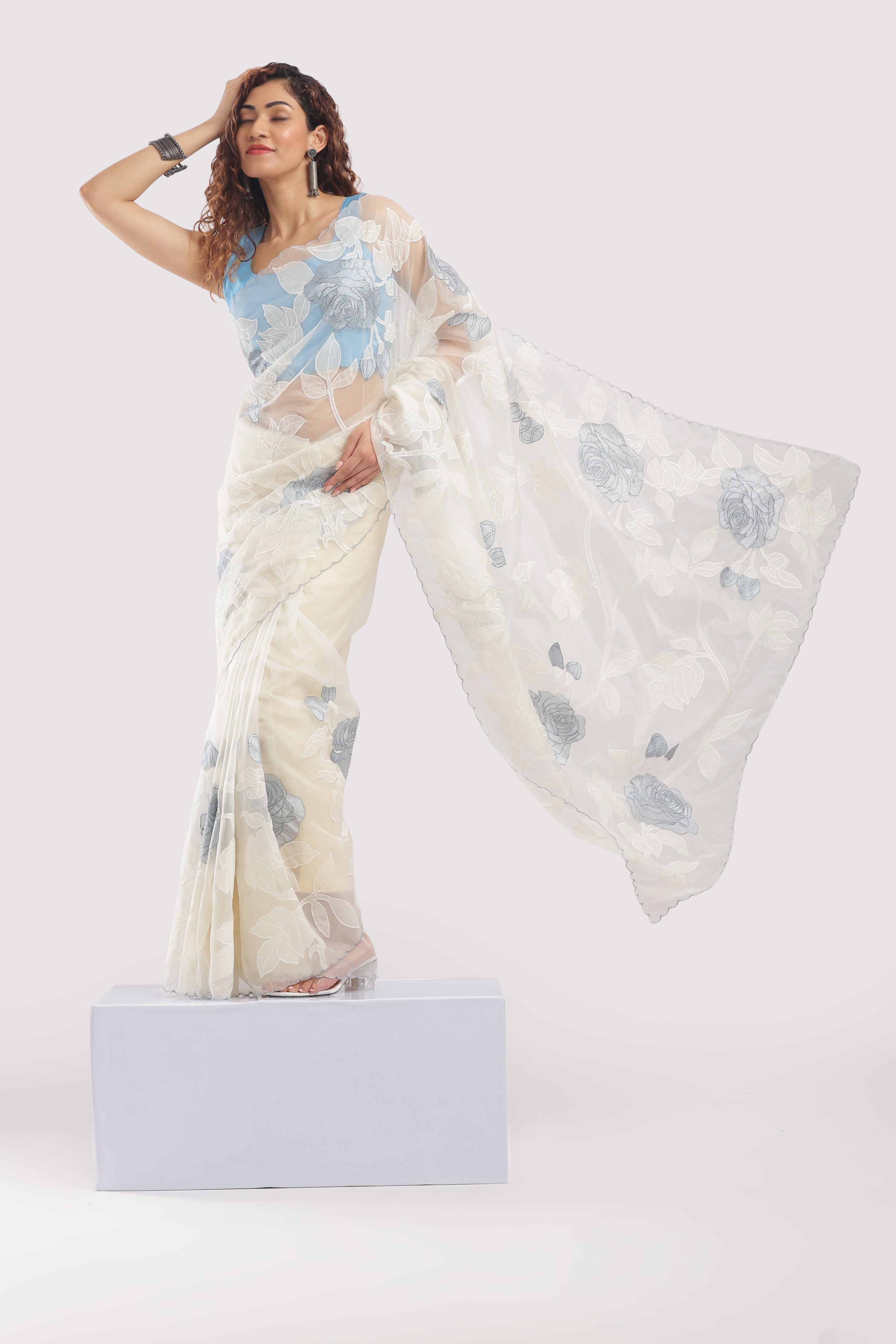 Banarasi Silk Organza Appliqué Saree - Ivory White Blue Appliqué