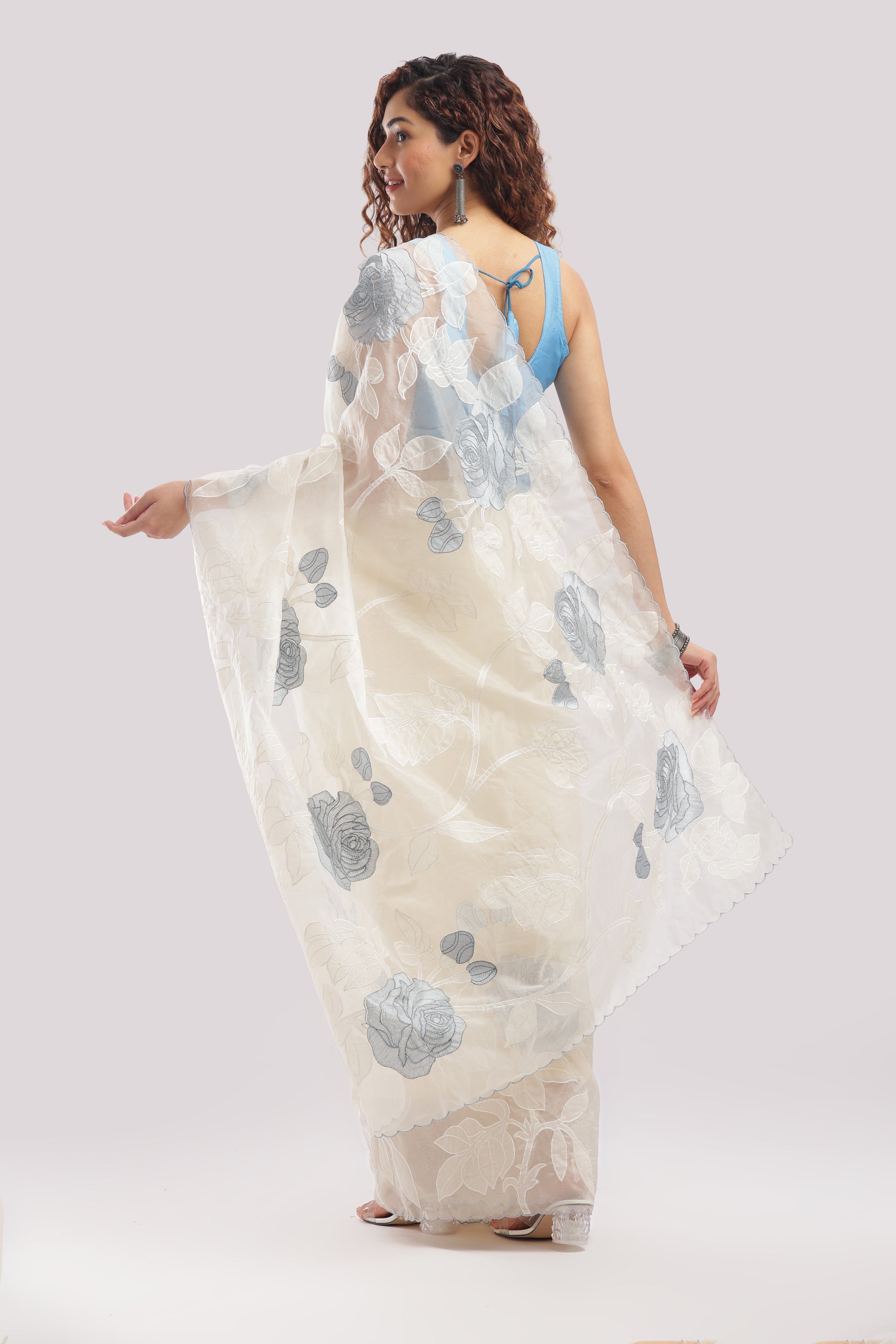 Banarasi Silk Organza Appliqué Saree - Ivory White Blue Appliqué