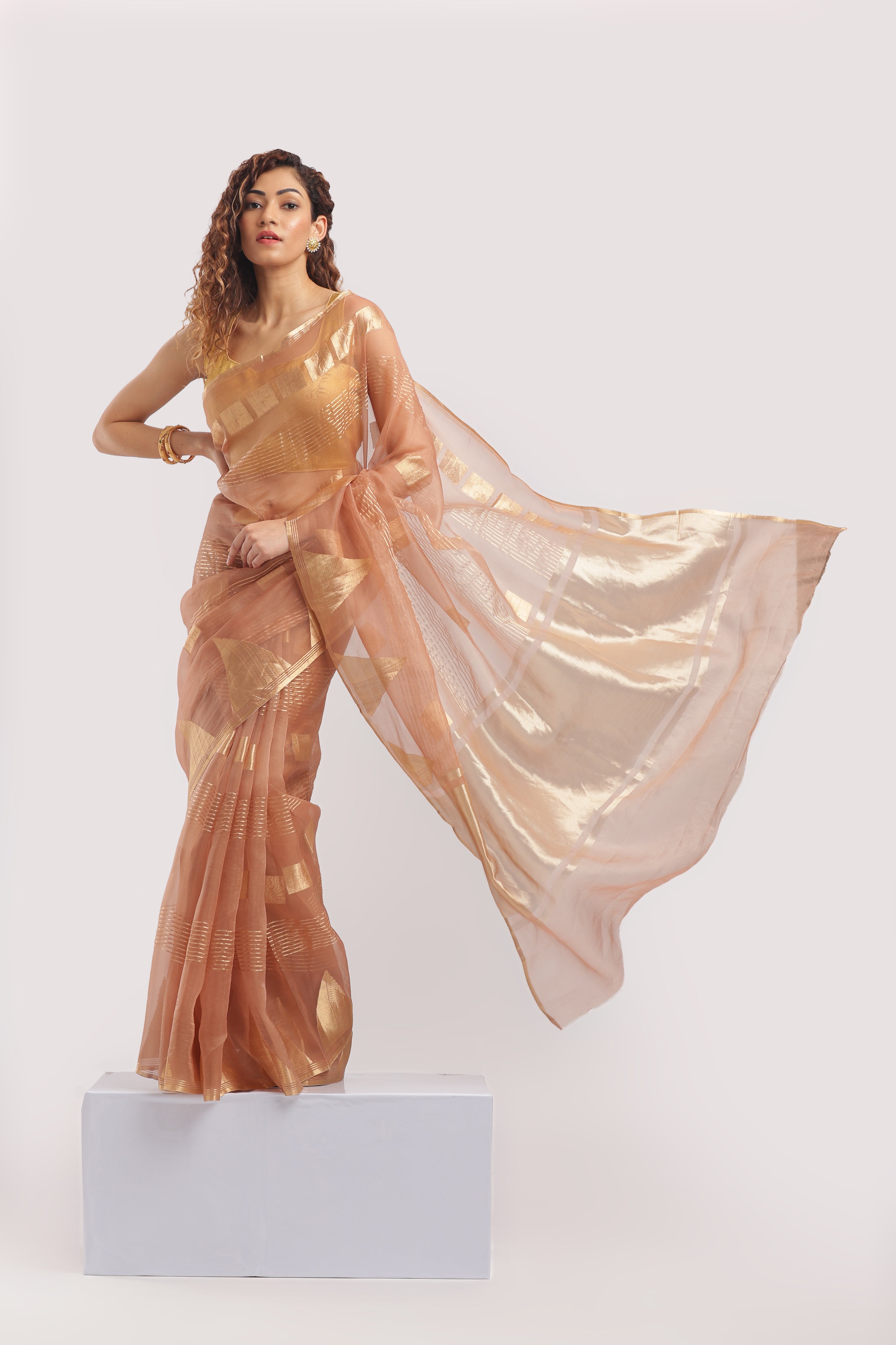 Pure Banarasi Silk Organza Butti Saree - Warm Peach