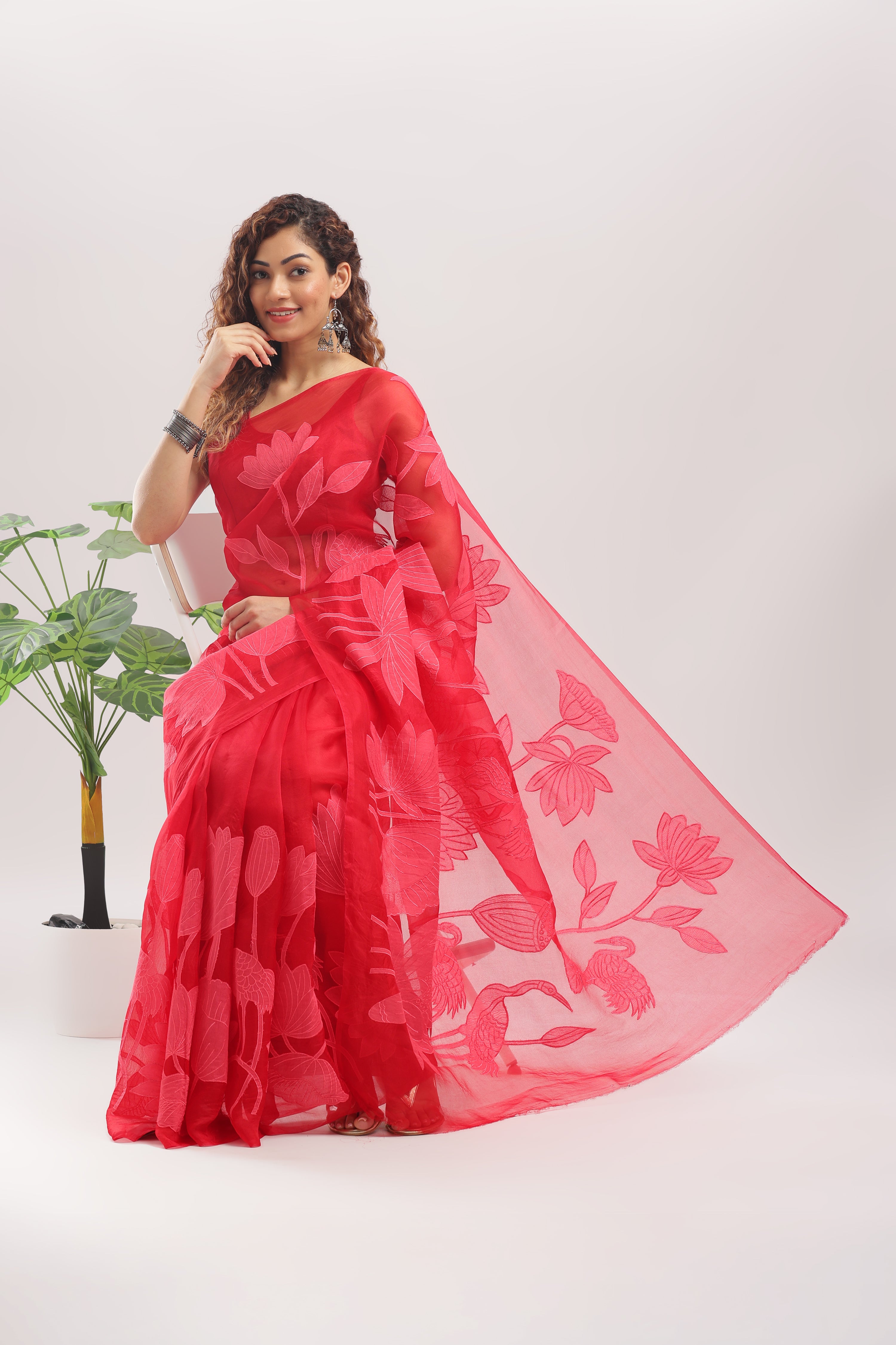 Banarasi Silk Organza Appliqué Saree - Crimson Red