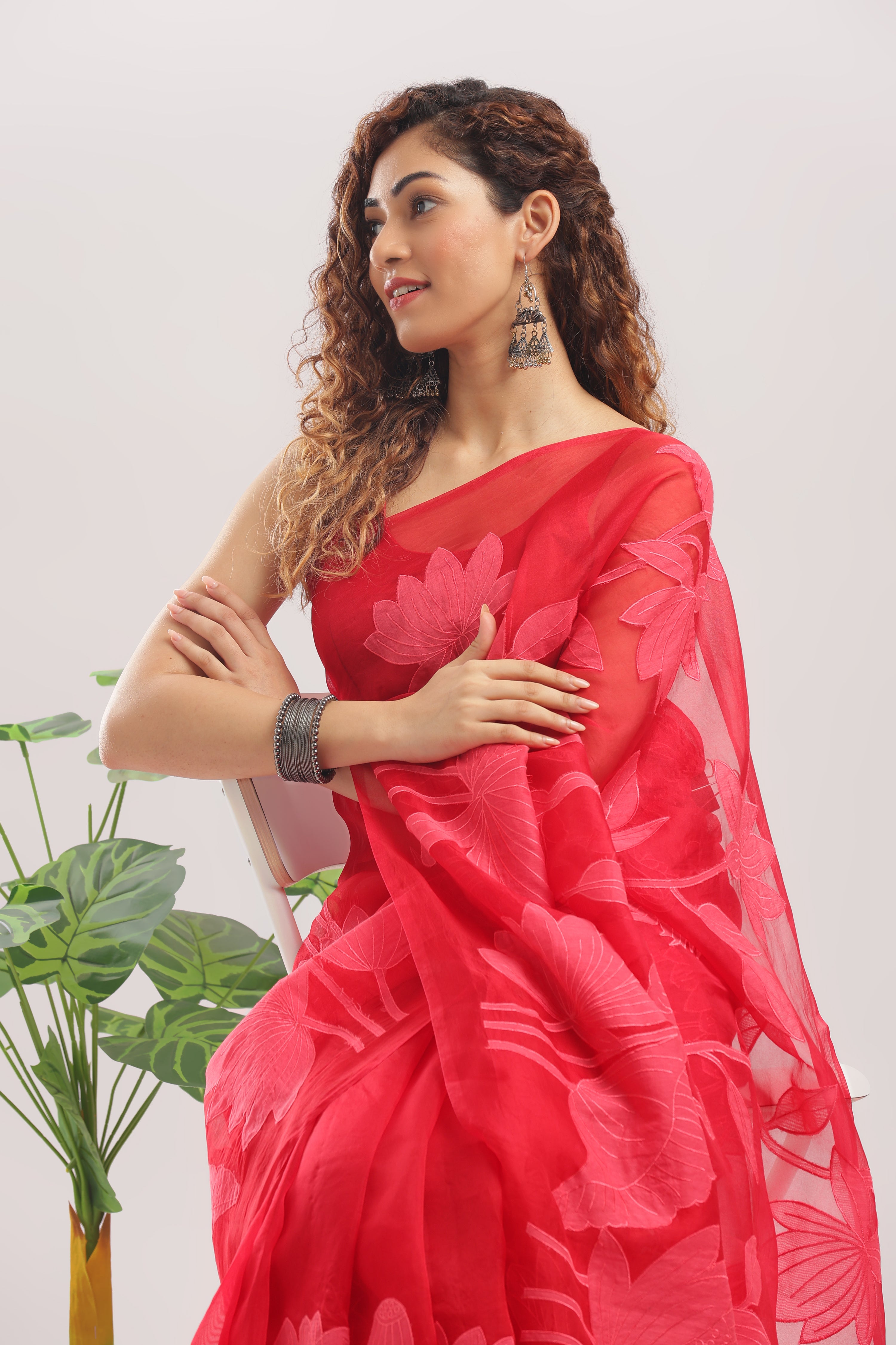 Banarasi Silk Organza Appliqué Saree - Crimson Red