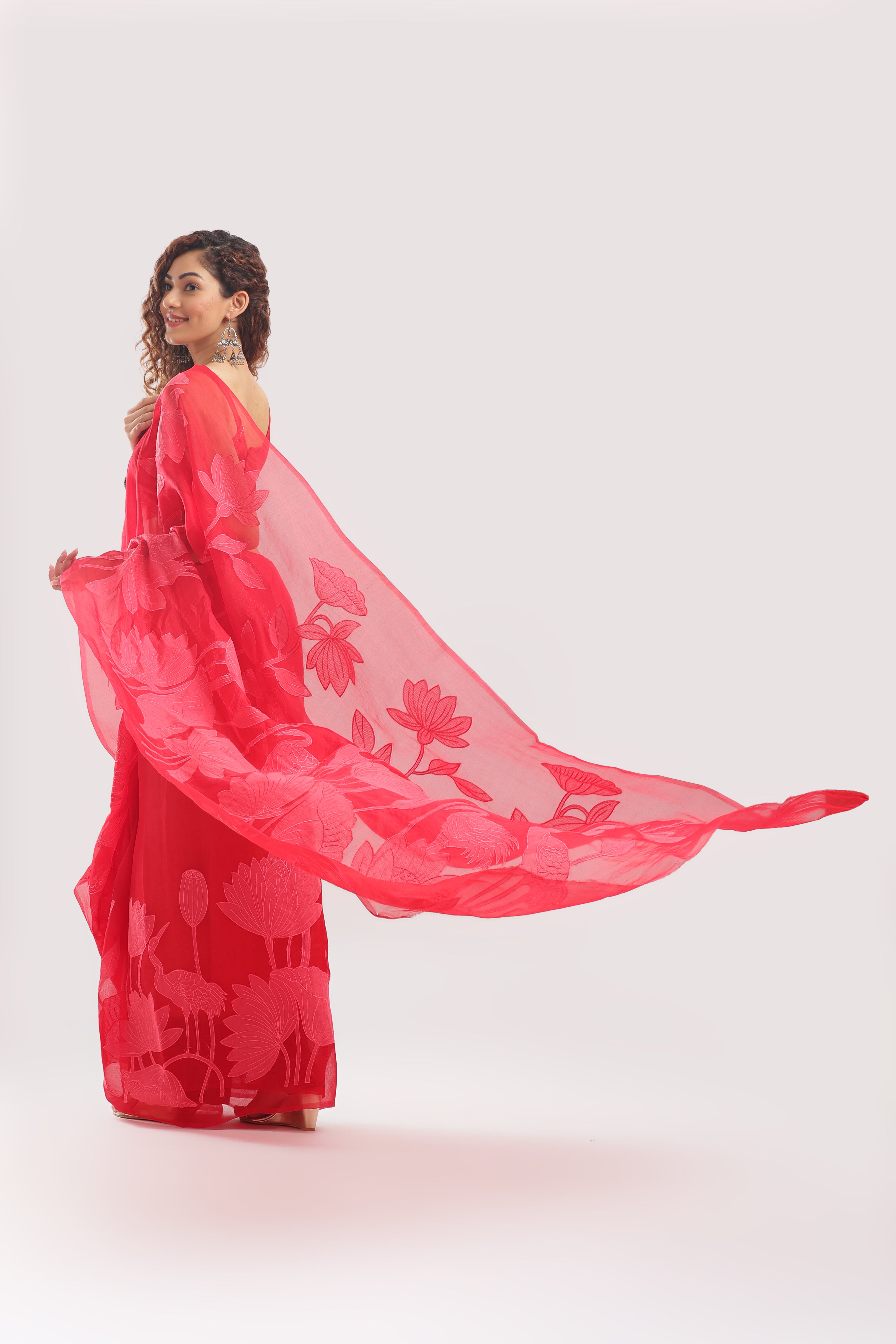 Banarasi Silk Organza Appliqué Saree - Crimson Red