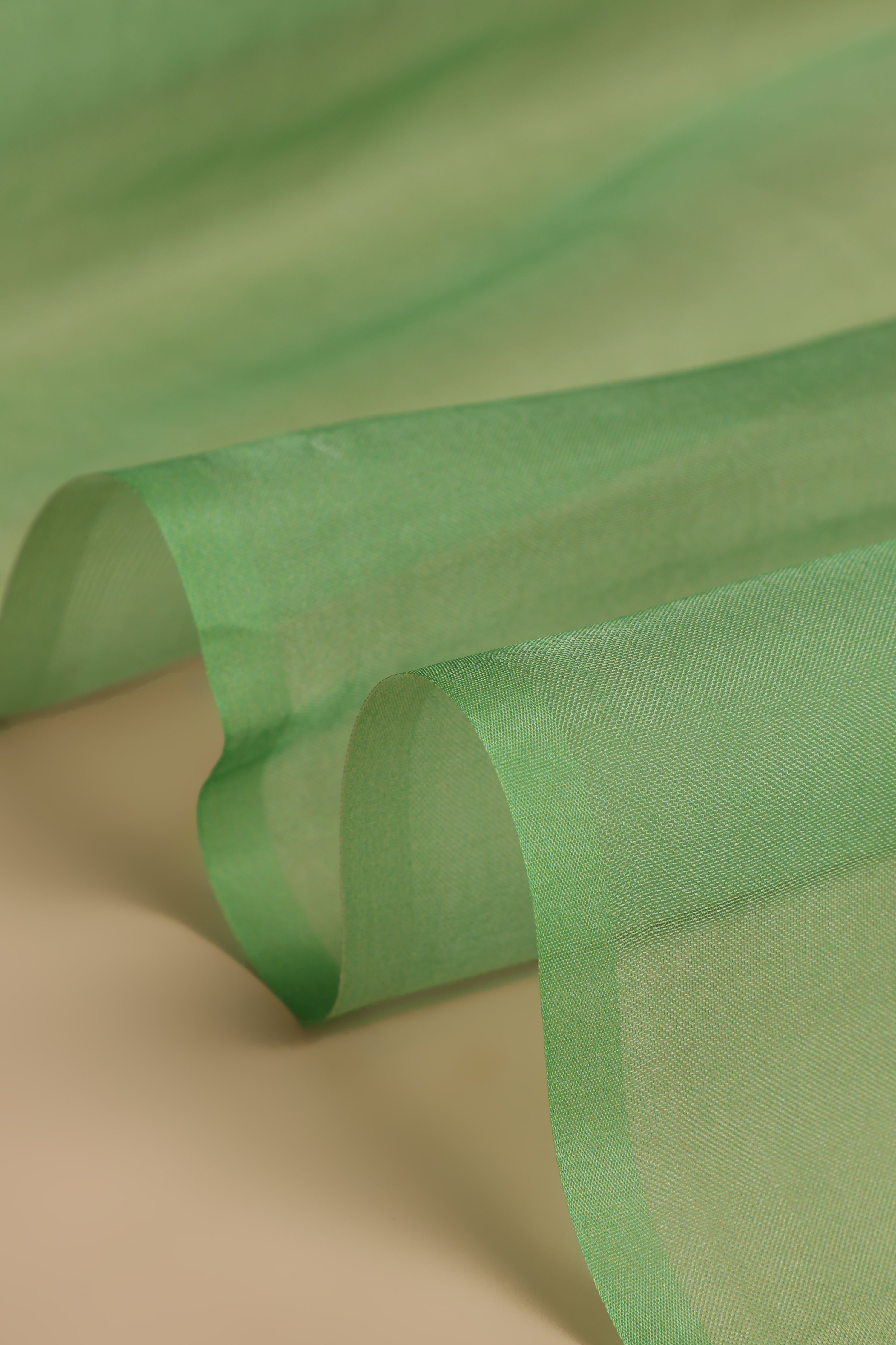 Banarasi Silk Organza Digital Print Flower Motive Saree - Green