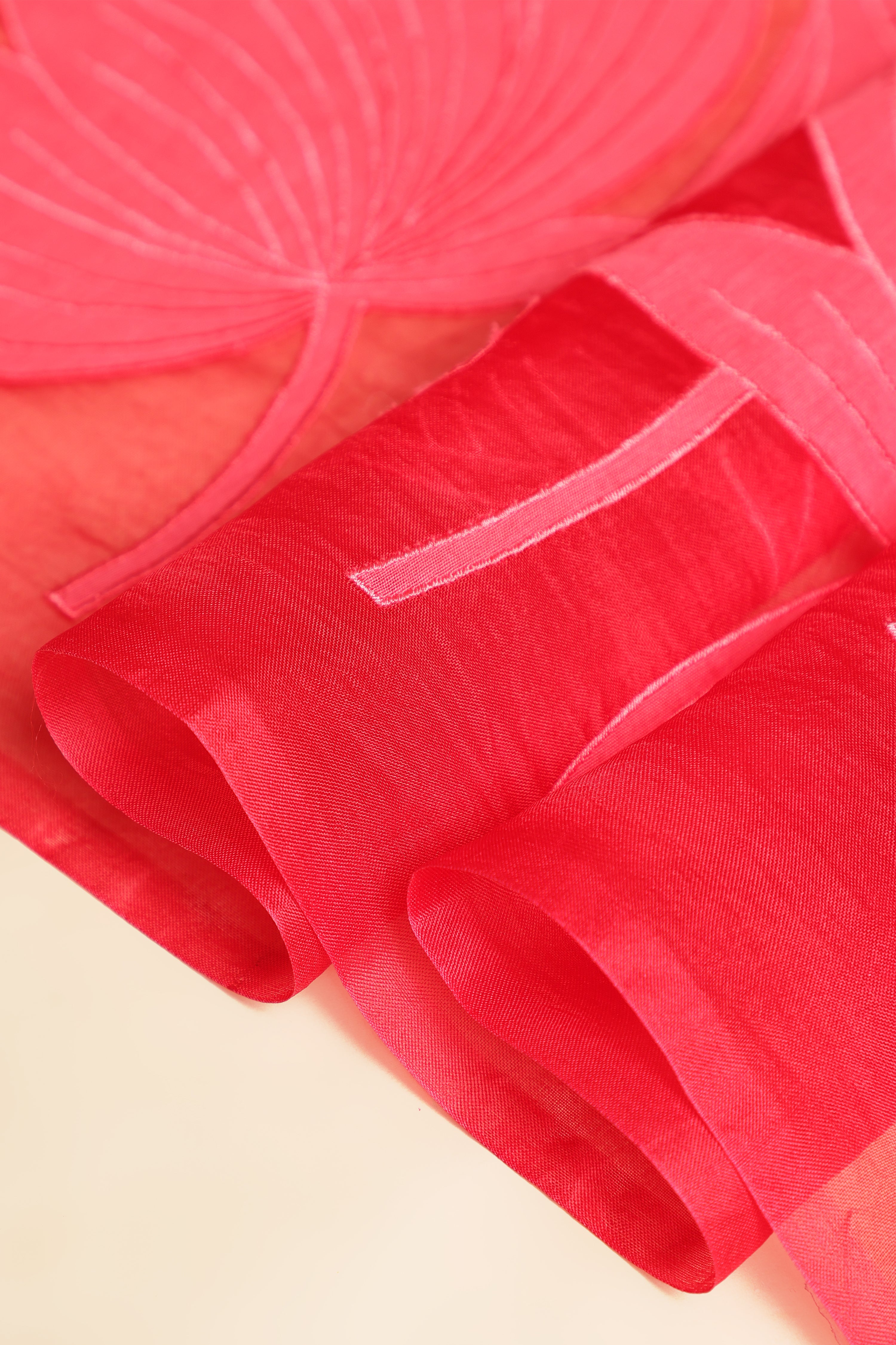 Banarasi Silk Organza Appliqué Saree - Crimson Red