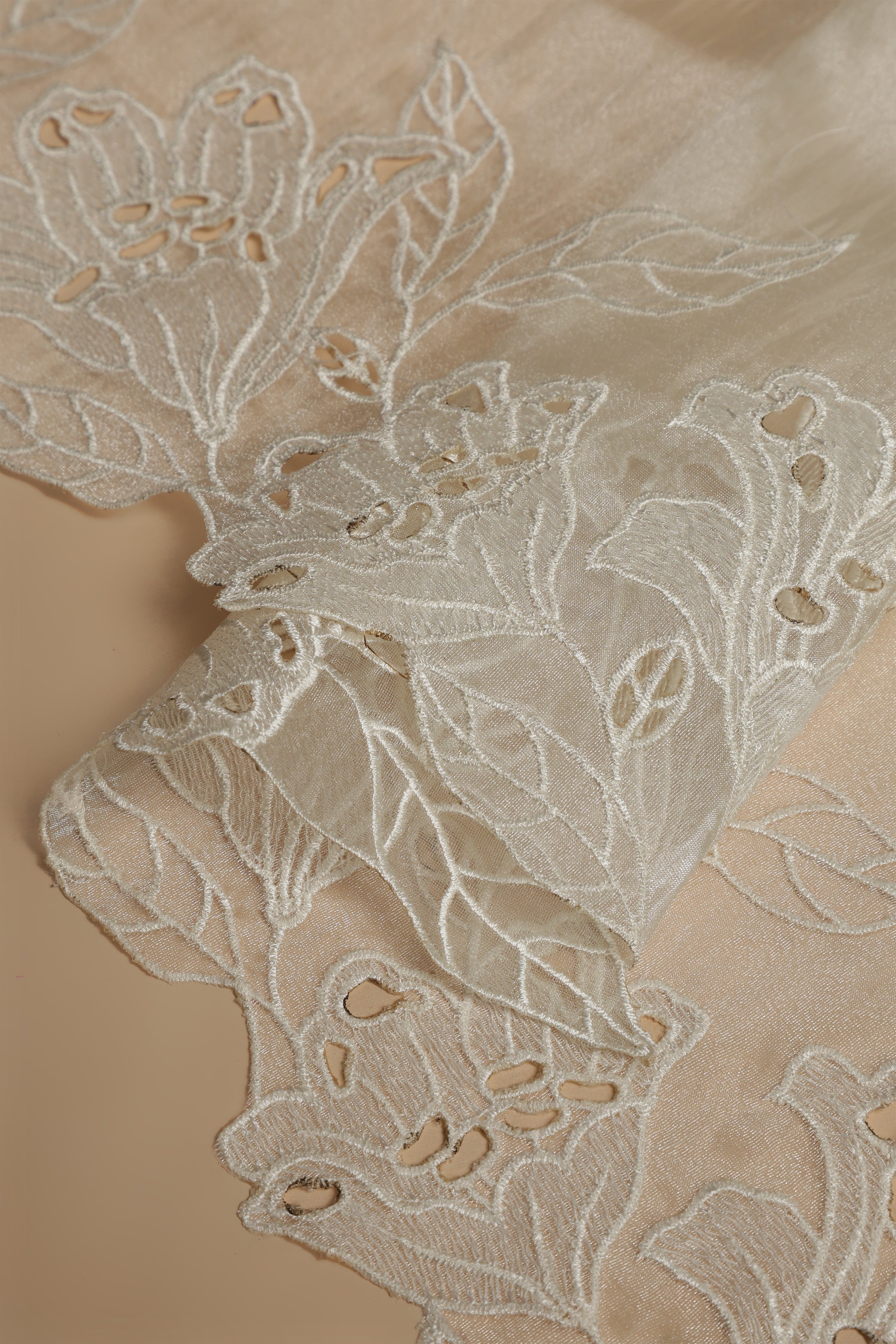 Banarasi tissue silk cut work saree - Ivory white