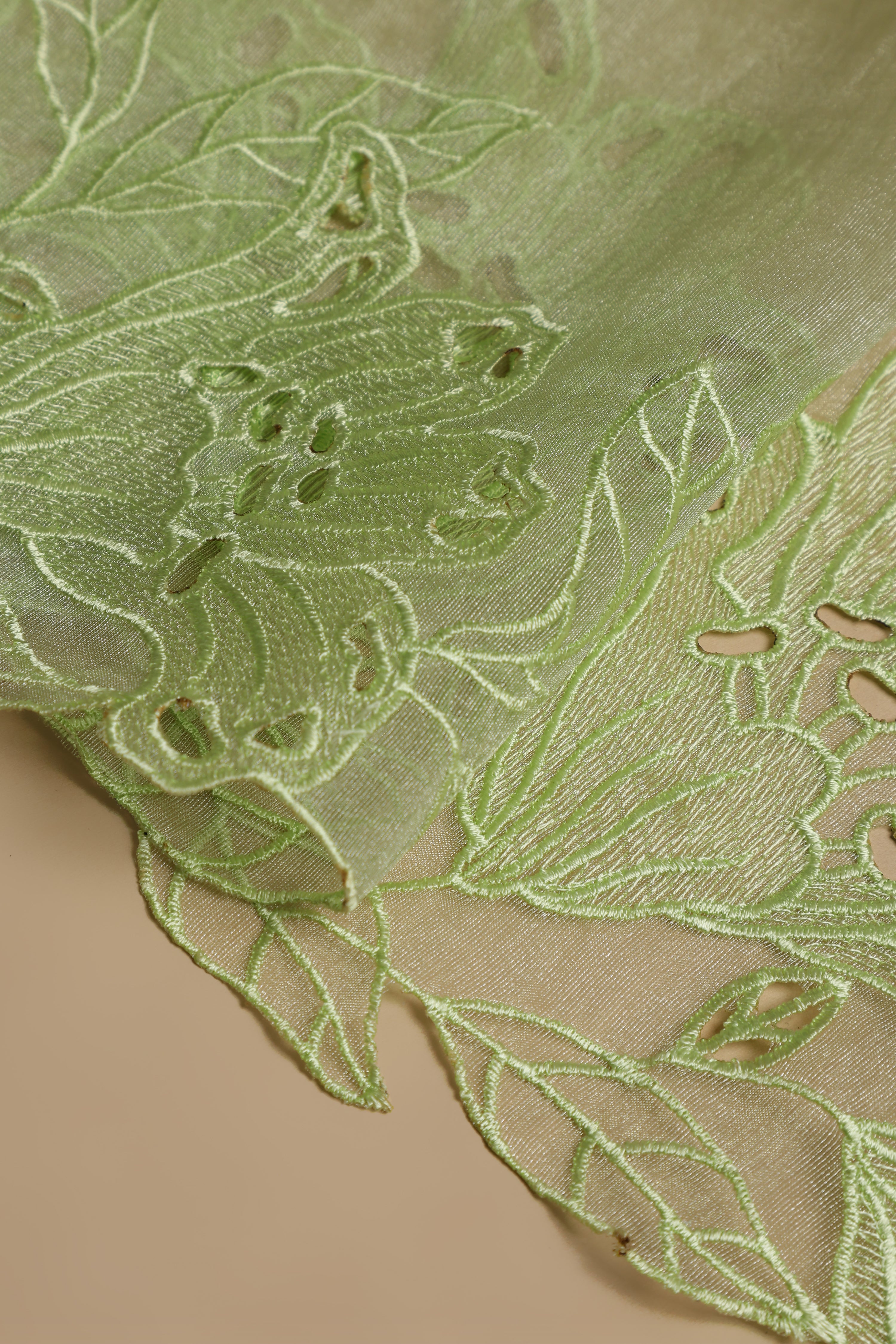 Banarasi Tissue Silk Cut Work Saree - Soft Pastel Green