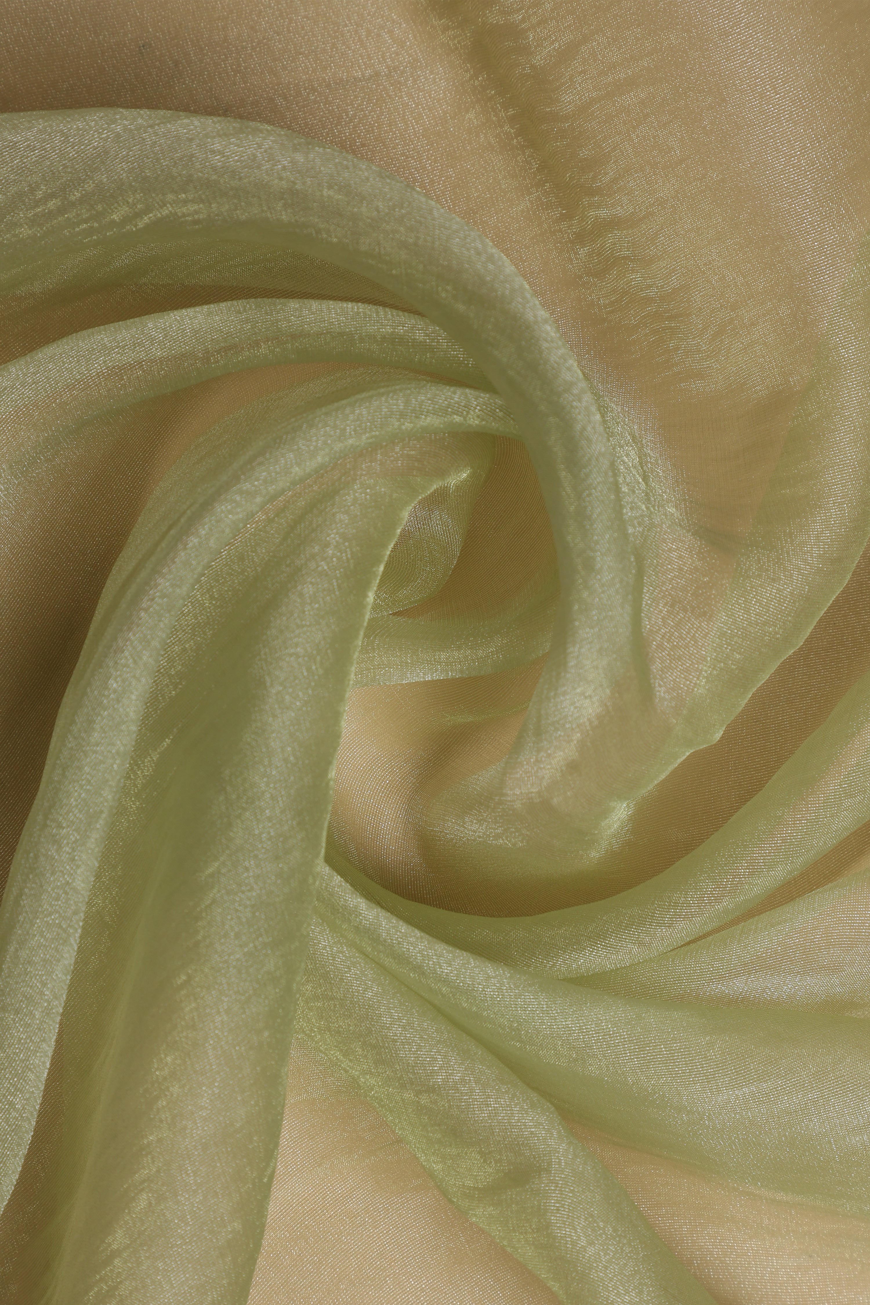 Banarasi Tissue Silk Cut Work Saree - Soft Pastel Green