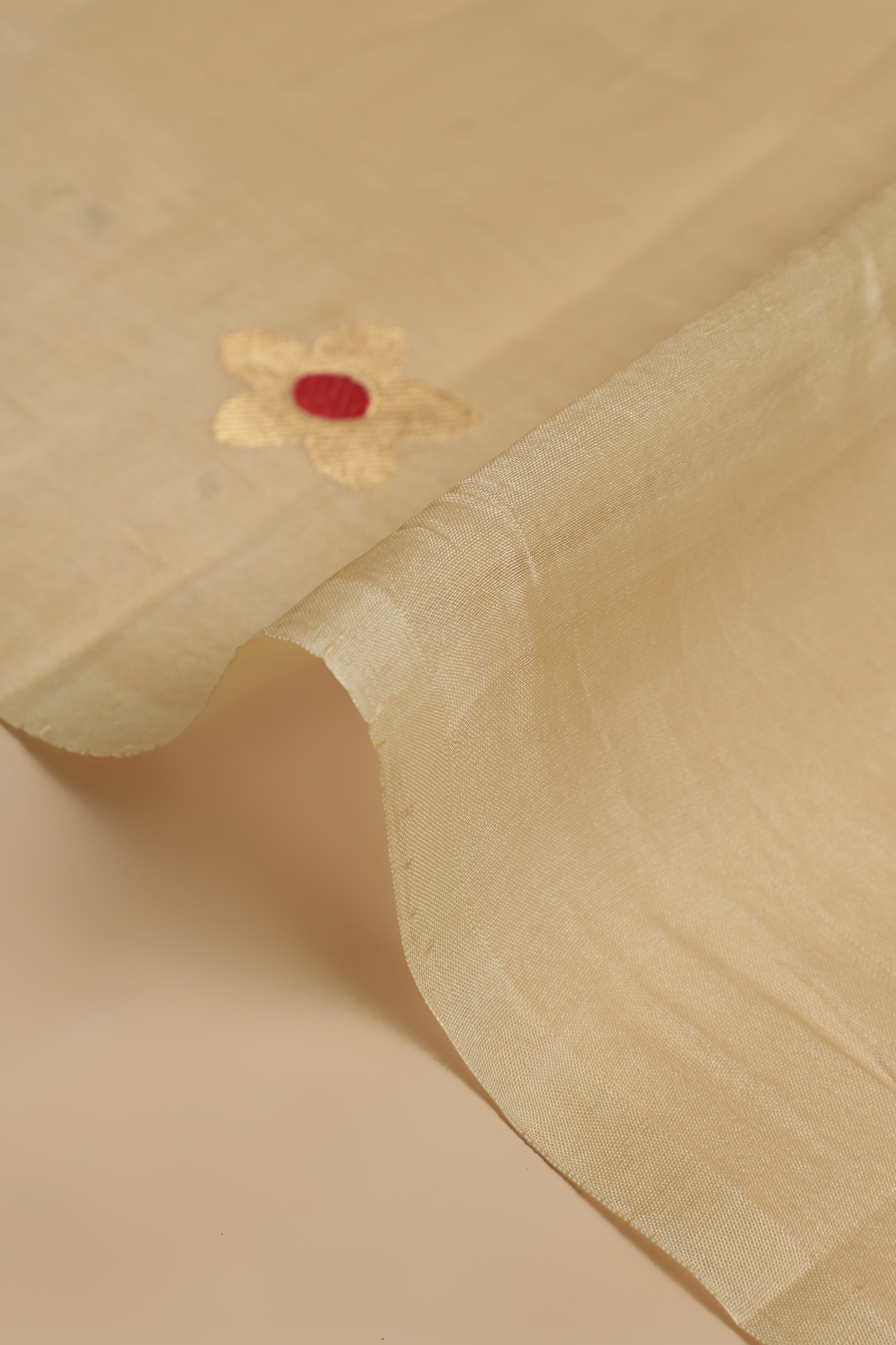 Organza Meena Butti - Creamy Beige