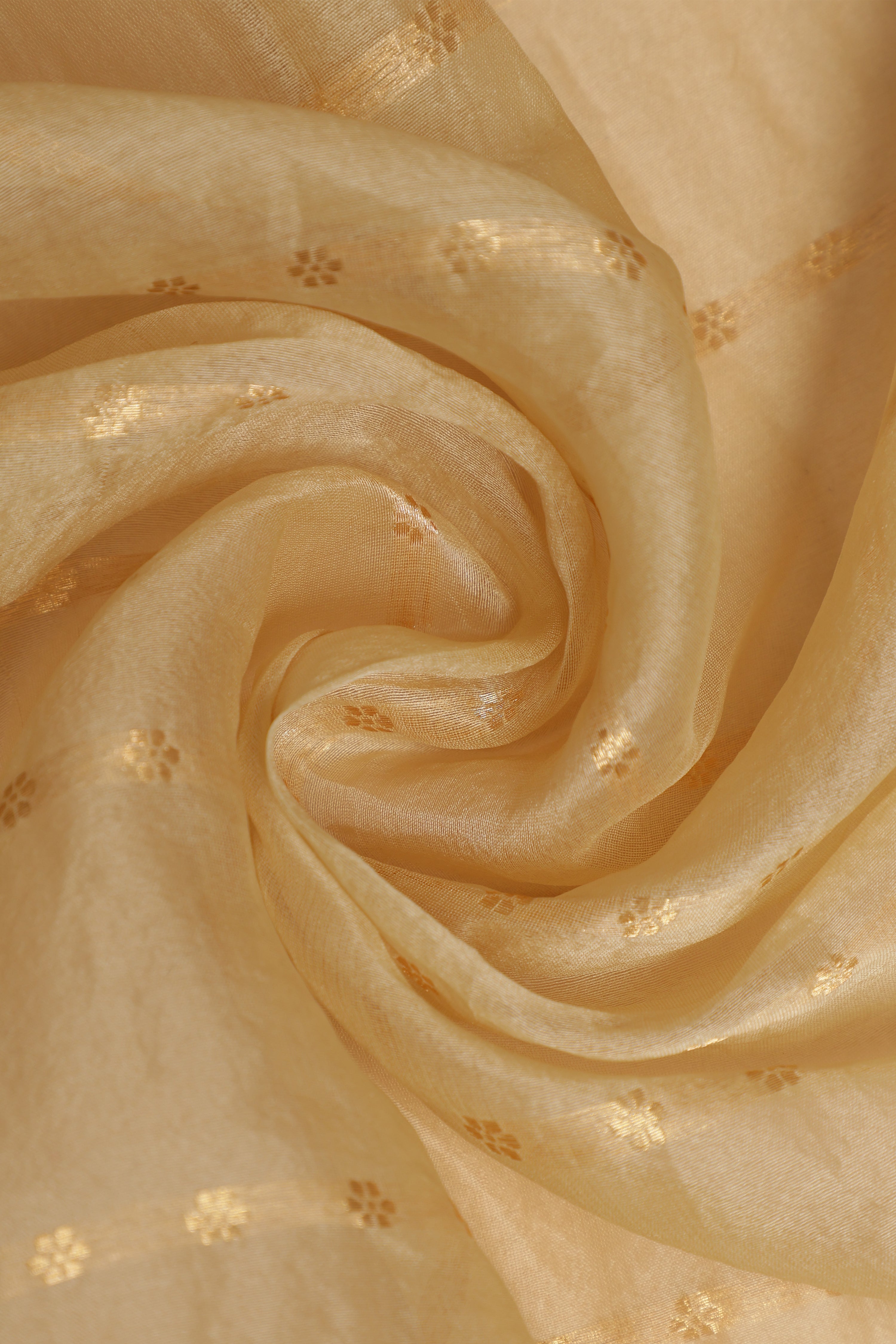 Organza Meena Butti - Creamy Beige