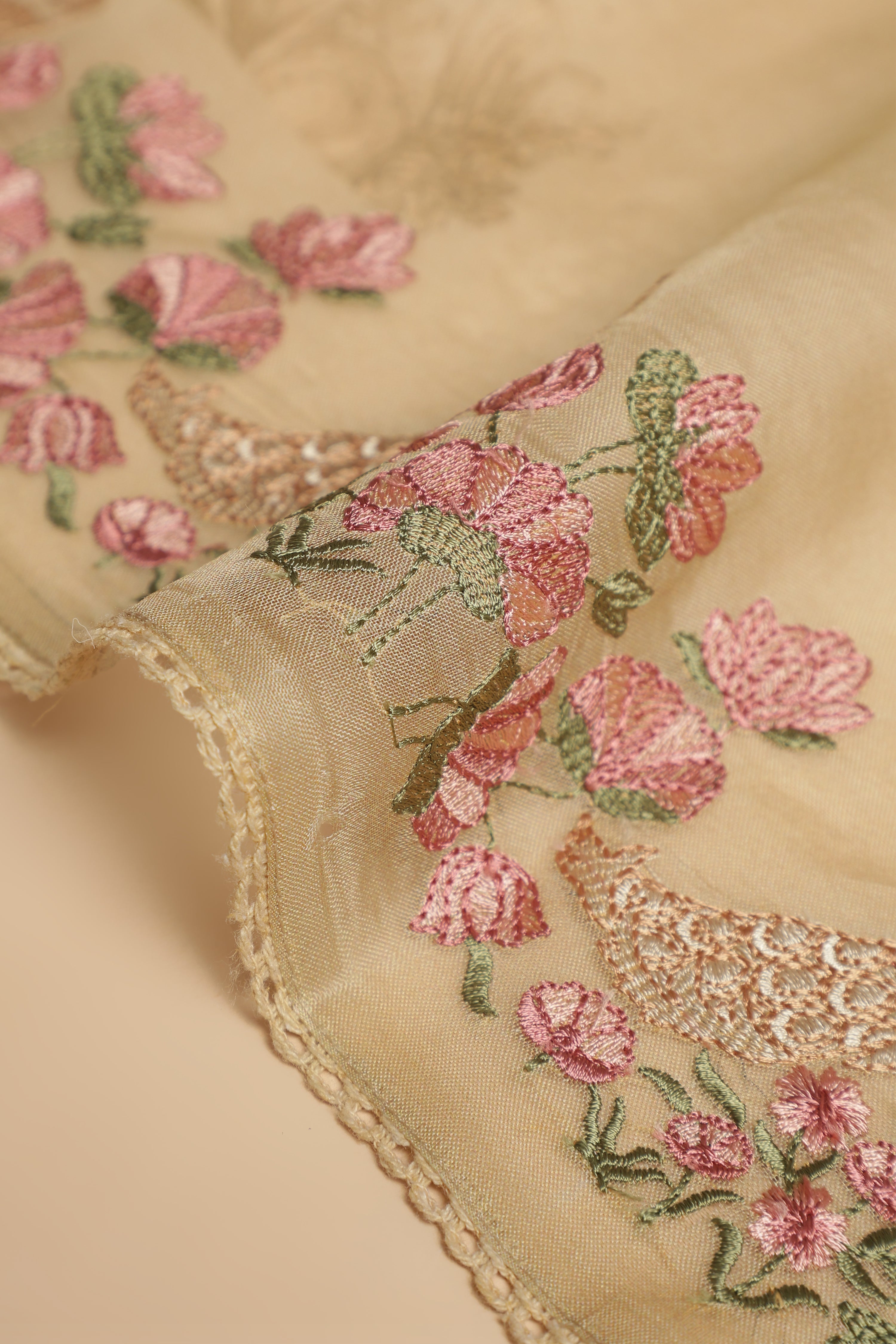 Banarasi Silk Organza Digital Print And Embroidery Saree - Pastel Gold Shade