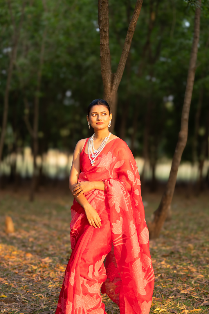 Banarasi Organza Applique saree with Chandari thread - Yellow