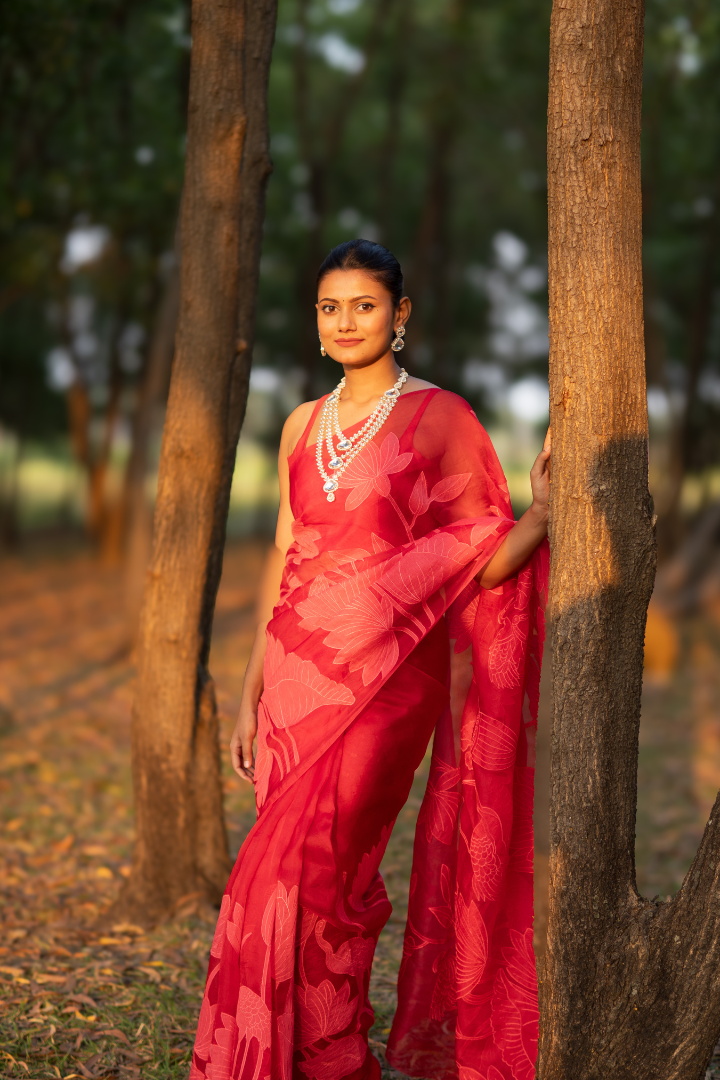 Banarasi Organza Applique saree with Chandari thread - Yellow