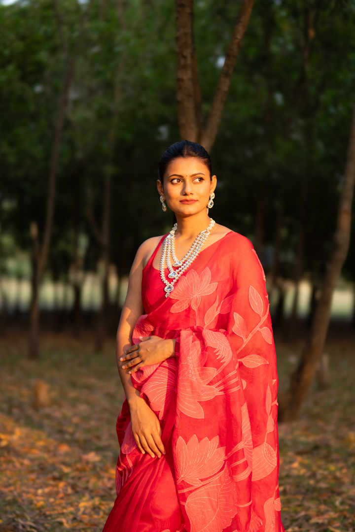 Banarasi Organza Applique saree with Chandari thread - Yellow