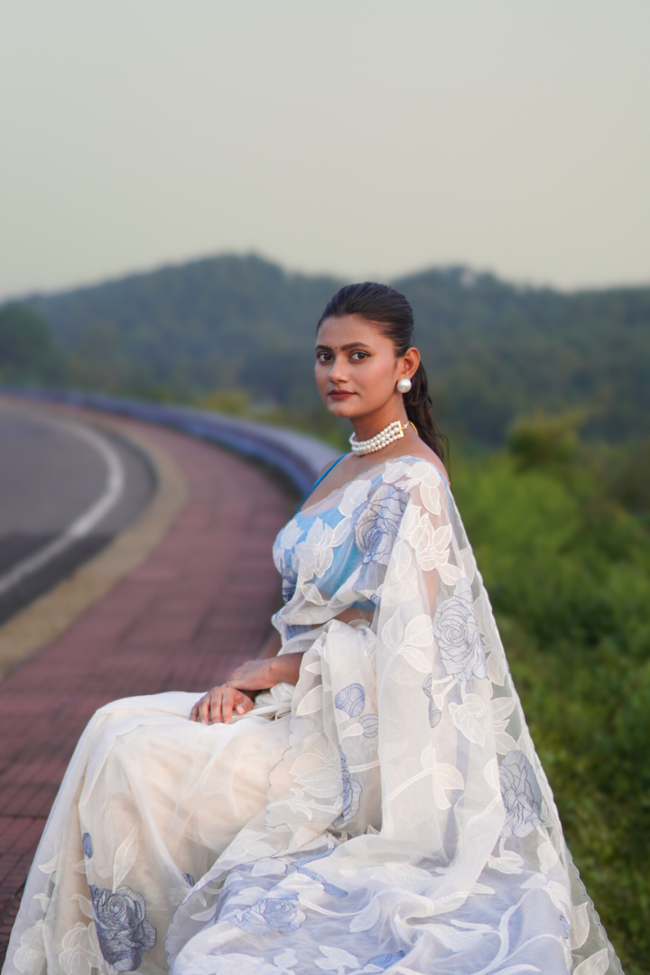 Banarasi Silk Organza Appliqué Saree - Ivory White Blue Appliqué
