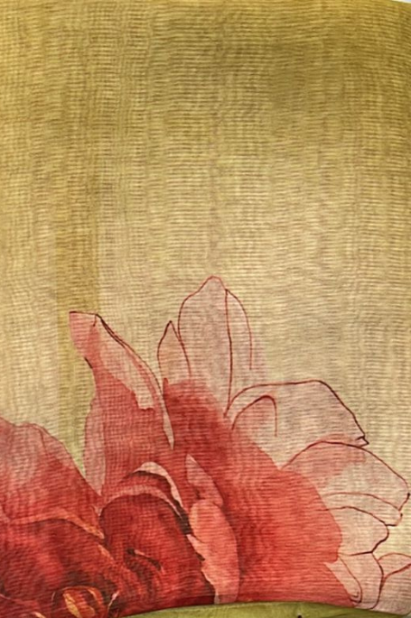 Banarasi Silk Organza Digital Print Flower Motive Saree - Green