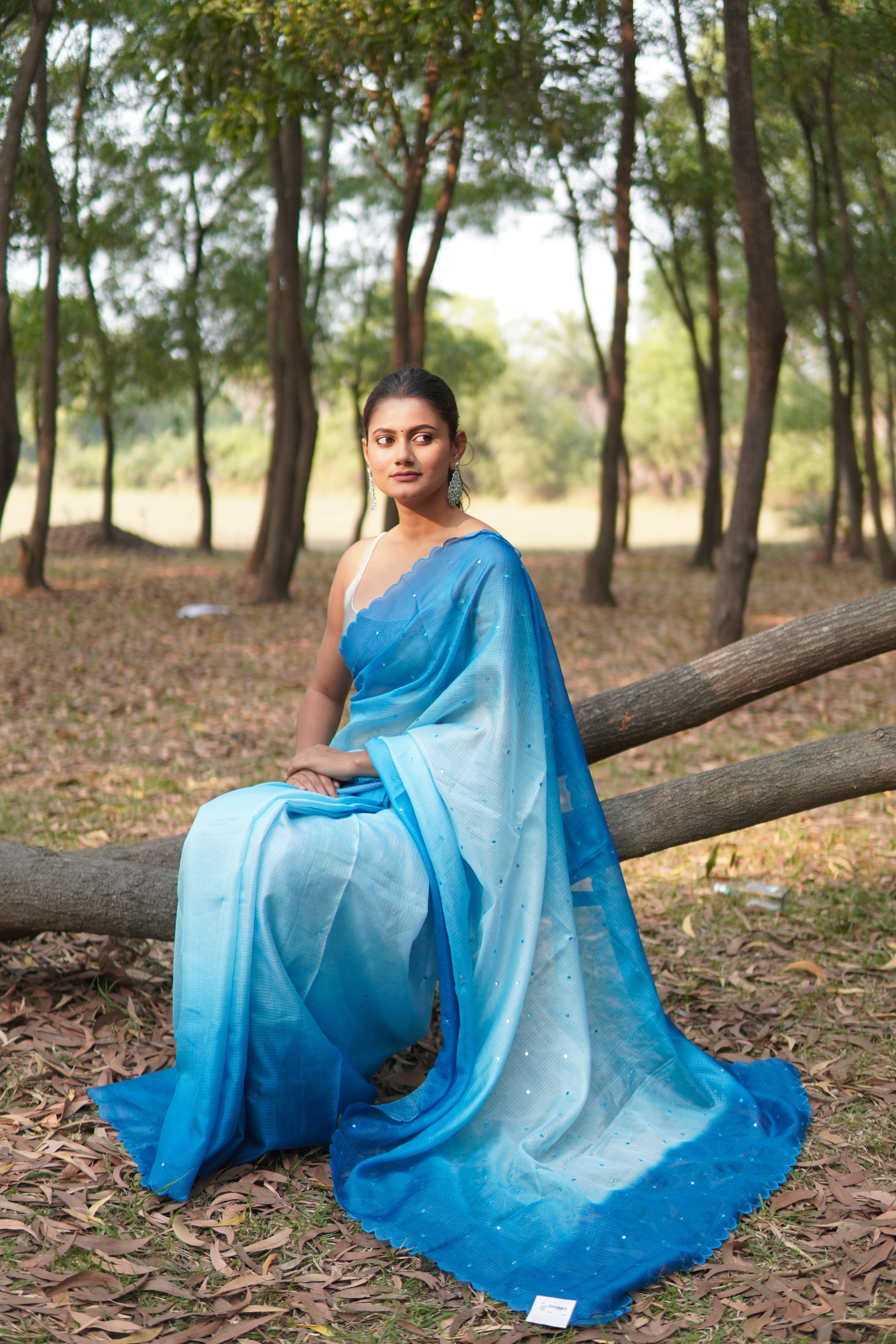 Banarasi Kota Glass Cut Work- Sea Blue Breeze Saree